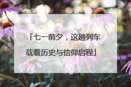 七一前夕，这趟列车载着历史与信仰启程