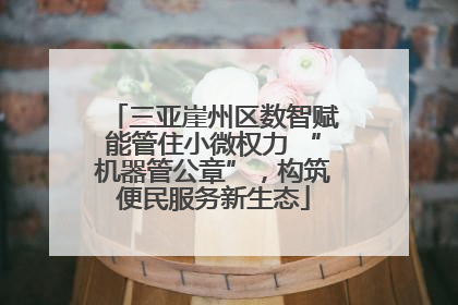 三亚崖州区数智赋能管住小微权力 “机器管公章”，构筑便民服务新生态
