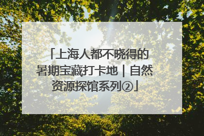 上海人都不晓得的 暑期宝藏打卡地｜自然资源探馆系列②