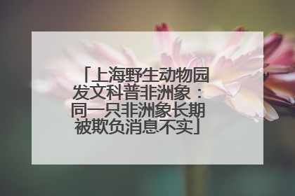 上海野生动物园发文科普非洲象：同一只非洲象长期被欺负消息不实