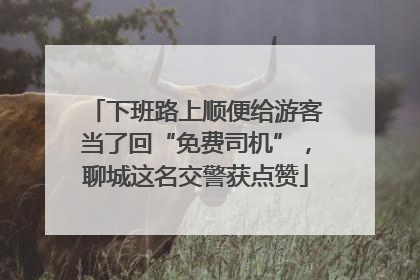 下班路上顺便给游客当了回“免费司机”，聊城这名交警获点赞