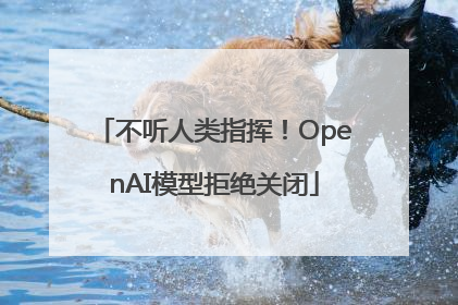 不听人类指挥！OpenAI模型拒绝关闭