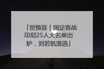 世预赛｜国足客战印尼25人大名单出炉，刘若钒落选