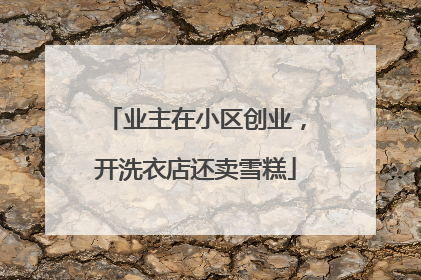 业主在小区创业，开洗衣店还卖雪糕