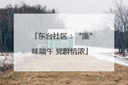东台社区：“廉”味端午 党群情浓