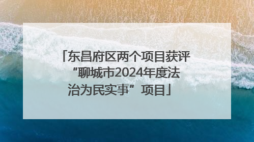 东昌府区两个项目获评“聊城市2024年度法治为民实事”项目