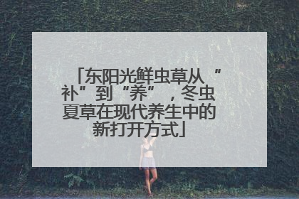 东阳光鲜虫草从“补”到“养”，冬虫夏草在现代养生中的新打开方式