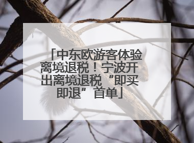 中东欧游客体验离境退税！宁波开出离境退税“即买即退”首单