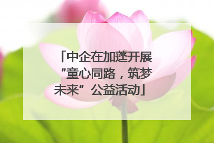 中企在加蓬开展“童心同路，筑梦未来”公益活动