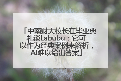 中南财大校长在毕业典礼谈Labubu：它可以作为经典案例来解析，AI难以给出答案