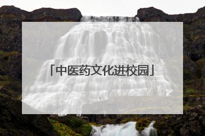 中医药文化进校园