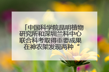 中国科学院昆明植物研究所和深圳兰科中心联合科考取得重要成果 在神农架发现两种“国保”级兰花