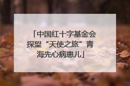 中国红十字基金会探望“天使之旅”青海先心病患儿