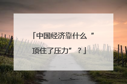 中国经济靠什么“顶住了压力”？