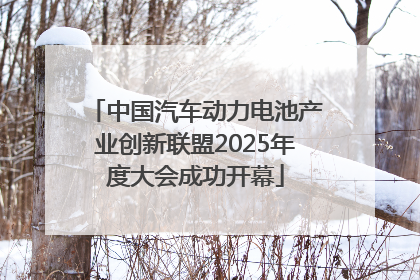 中国汽车动力电池产业创新联盟2025年度大会成功开幕