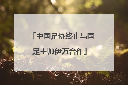 中国足协终止与国足主帅伊万合作