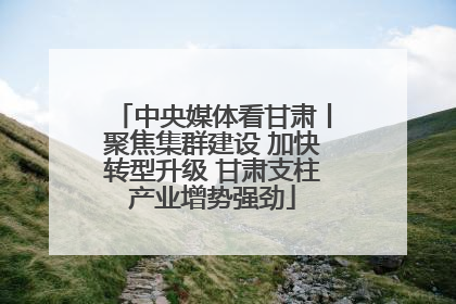 中央媒体看甘肃丨聚焦集群建设 加快转型升级 甘肃支柱产业增势强劲