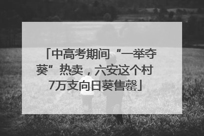 中高考期间“一举夺葵”热卖，六安这个村7万支向日葵售罄