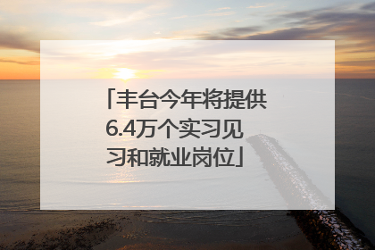 丰台今年将提供6.4万个实习见习和就业岗位