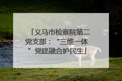 义马市检察院第二党支部：“三维一体”党建融合护民生