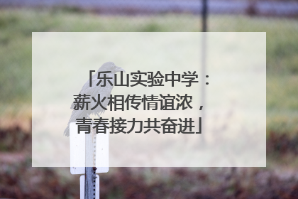 乐山实验中学：薪火相传情谊浓，青春接力共奋进
