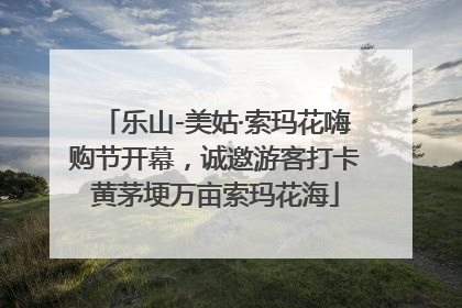 乐山-美姑·索玛花嗨购节开幕，诚邀游客打卡黄茅埂万亩索玛花海