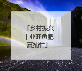 乡村振兴｜业旺鱼肥夏捕忙