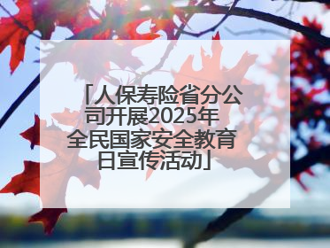 人保寿险省分公司开展2025年全民国家安全教育日宣传活动