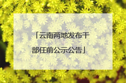 云南两地发布干部任前公示公告