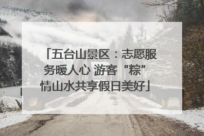 五台山景区：志愿服务暖人心 游客“粽”情山水共享假日美好