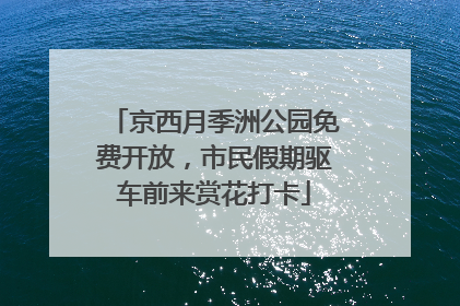 京西月季洲公园免费开放，市民假期驱车前来赏花打卡