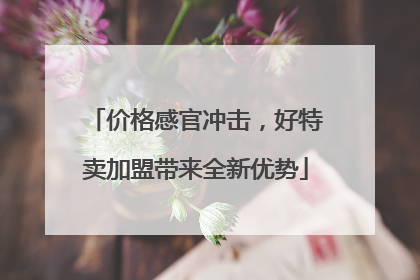 价格感官冲击，好特卖加盟带来全新优势