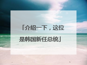 介绍一下，这位是韩国新任总统