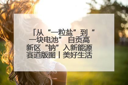 从“一粒盐”到“一块电池” 自贡高新区“钠”入新能源赛道版图丨美好生活有“盐”味