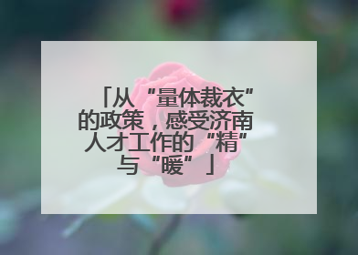 从“量体裁衣”的政策，感受济南人才工作的“精”与“暖”