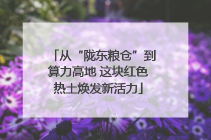 从“陇东粮仓”到算力高地 这块红色热土焕发新活力