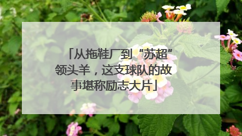 从拖鞋厂到“苏超”领头羊，这支球队的故事堪称励志大片