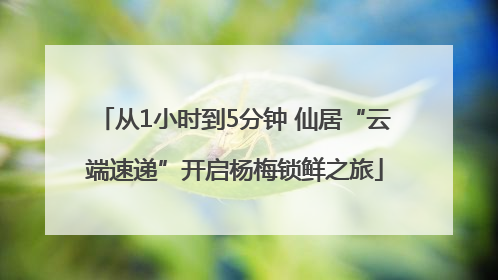 从1小时到5分钟 仙居“云端速递”开启杨梅锁鲜之旅