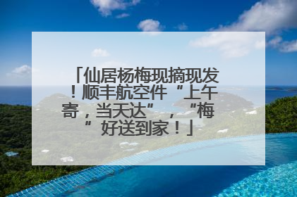 仙居杨梅现摘现发！顺丰航空件“上午寄，当天达”，“梅”好送到家！