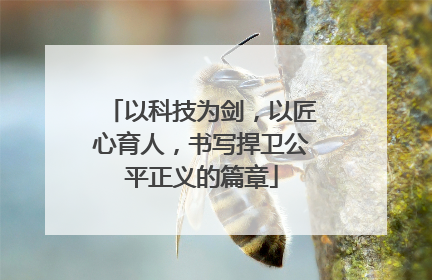 以科技为剑，以匠心育人，书写捍卫公平正义的篇章