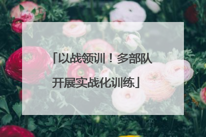 以战领训！多部队开展实战化训练