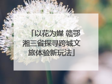 以花为媒 赣鄂湘三省探寻跨城文旅体验新玩法