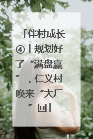 伴村成长④丨规划好了“满盘赢”，仁义村唤来“大厂”回