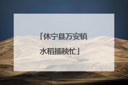 休宁县万安镇水稻插秧忙