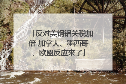 反对美钢铝关税加倍 加拿大、墨西哥、欧盟反应来了