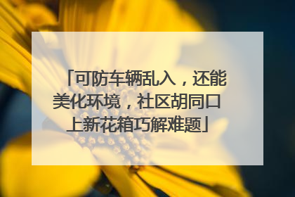 可防车辆乱入，还能美化环境，社区胡同口上新花箱巧解难题