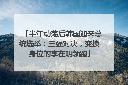 半年动荡后韩国迎来总统选举：三强对决，变换身位的李在明领跑
