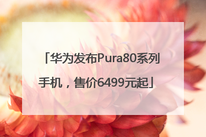 华为发布Pura80系列手机，售价6499元起