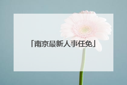 南京最新人事任免