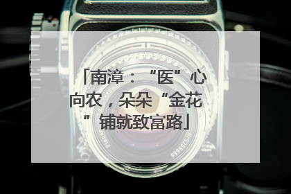 南漳：“医”心向农，朵朵“金花”铺就致富路